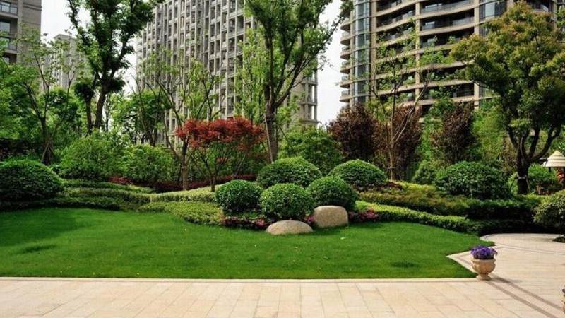 国际象棋开局陷阱有哪些经典套路值得学习