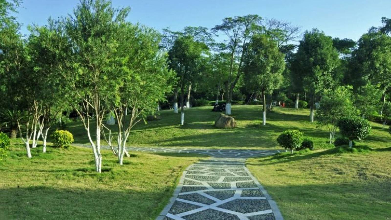 金年会园林绿化苗木供应与选型场景